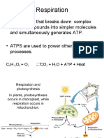 Botany 102 (Lab) - Respiration