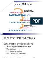 Transcription and Translation