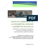 Informe Medano Pehuen Co