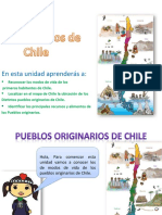 Pueblos Originarios