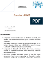 Overview of SME: Rowshonara Akter Akhi Lecturer Jahangirnagar University