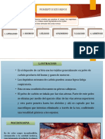 Pigmentacion Exogena