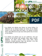 EL - ARBOL - FRUTAL Clase 3