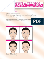 Teoría Diseño de Cejas y Colocación de Pestañas Postizas PDF