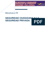 Seguridad Ciudadana PDF