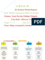 Mapa Conceptual (Amebas Comensales)