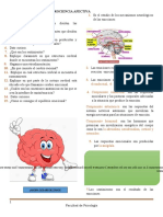 Neurociencia Afectiva Taller