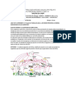 Guia 5 Biologia Nutricion