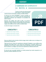 PDF FUERTAFIT - CARGAS GYM Nivel 6