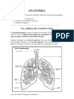 Anatomia Respiratoria