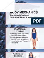 Anatomical Positions & Body Movements