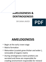 Amelogenesis & Dentinogenesis: DR Sana Javed