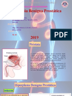 Hiperplasia Benigna Prostática