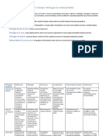 Patologías en Odontopediatría