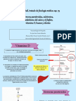 Activación de Vitamina D, PTH y Calcitonina