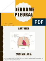 Derrame Pleural