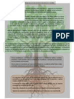 Arbol de Problemas PDF