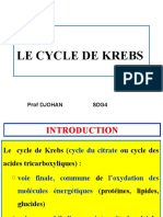 Le Cycle de Krebs