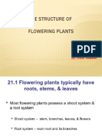 The Structure of Flowering Plants: By: Hiba Milhem