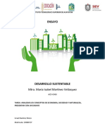 Ensayo - Economía, Sociedad y Naturaleza