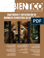 Ambientico 239 PDF