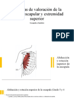 Técnicas de Valoración de La Cintura Escapular y Extremidad Superior (Autoguardado)