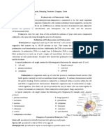 Group 3 Prokaryotic Vs Eukaryotic Cells Handouts