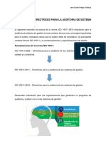 Resumen Iso 19011.