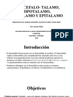 Seminario Diencefalo Morfo