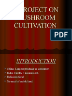 A Project On Mushroom Cultivation