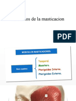 Musculos de La Masticacion