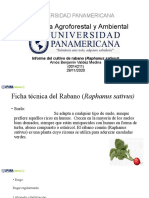 Informe Final de Horticultura