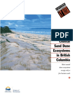 Coastal Sand Dunes