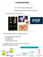 Cours - 2 Hématopoïèse PDF