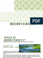 Group 3 Biodiversity Final