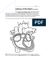 Learn The Anatomy of The Heart