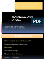 L4 - Escherichia Coli SPP