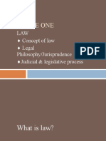 Lecture One: LAW Concept of Law Legal Philosophy/Jurisprudence Judicial & Legislative Process