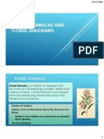 Pertemuan - 10 Rumus Dan Diagram Bunga