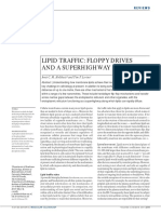 Lipid Traffic Floppy Drives and A Superhighway