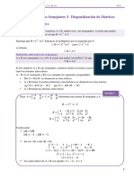 Matrices Semejantes y Diagonalización 