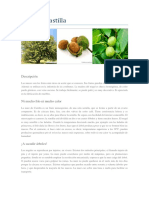 Nuez de Castilla Monografias PDF