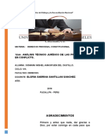 Trabajo Analisis Tecnico Juridico de Las Pretensiones en Conflicto