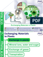 Smackslidecom Exchanging Mate 5fca76fcdc9b2