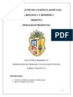 ASIS, Priorización Del Problema y Plan de Ejecución