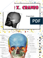 Radiologia Craneo 2020 PDF