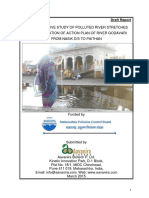 GodavariRiver ComprehensiveStudyReport PDF