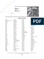 Coffea Arabica: Common Names