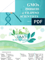 STS (Gmo)