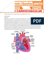 Aparato Cardiovascular para Cuarto Grado de Secundaria